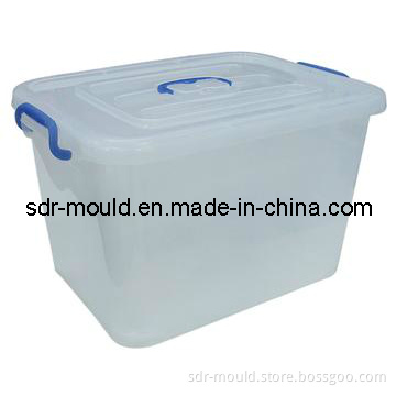 Plastic Injection Locker Box Mold Mould